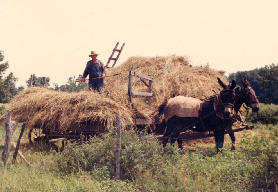 Clyde C. Bassett - Kinmundy, IL