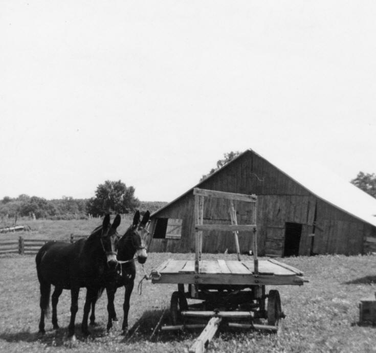 Clyde Bassett farm - Kinmundy, IL