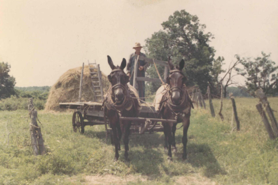 Clyde C. Bassett - Kinmundy, IL