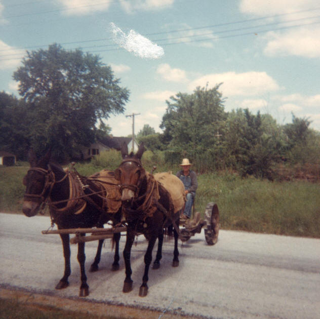 Clyde C. Bassett - Kinmundy, IL