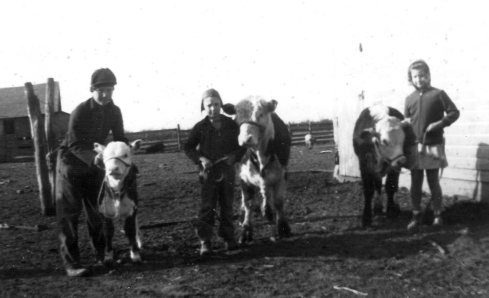 Bob Ford, John W. Ford, Jean Ford Krutsinger  - Alma, IL