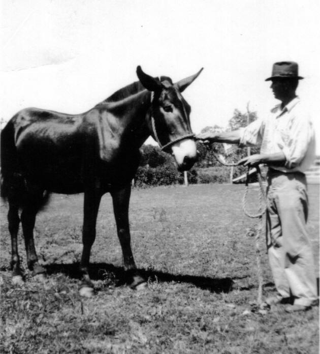 Fletcher Gragg, Charles Lowe