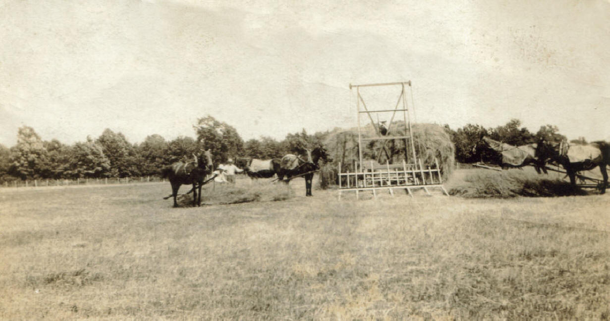Hay Sweep - Rake with horses - Kinmundy, IL