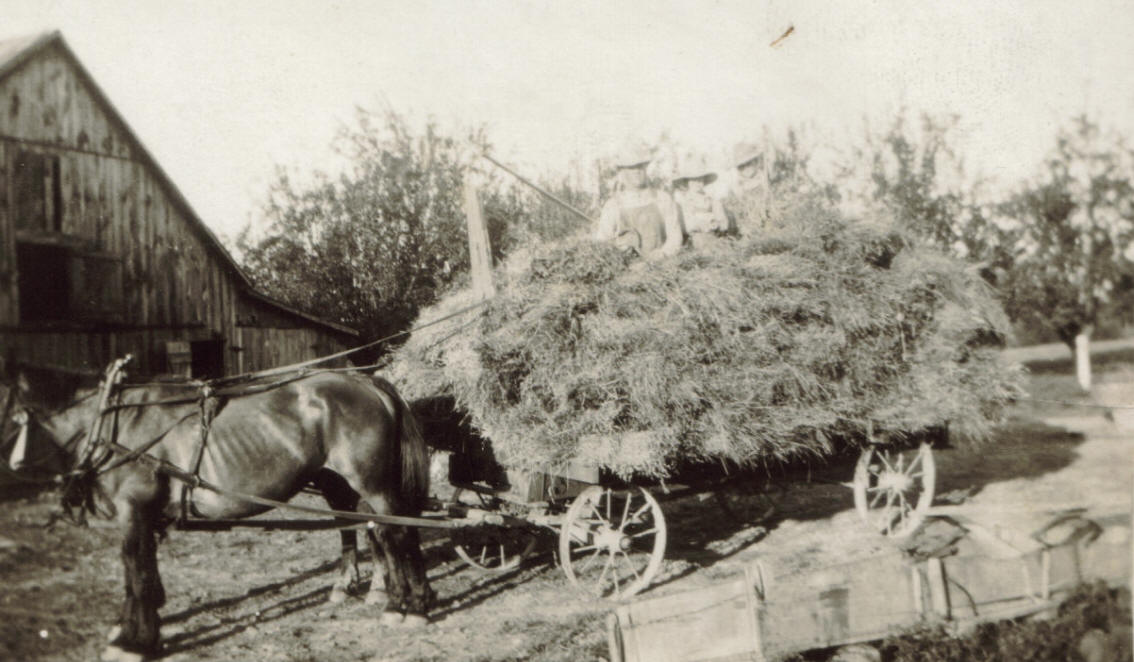 Dot, John William, and Thurman McCulley - Kinmundy, IL