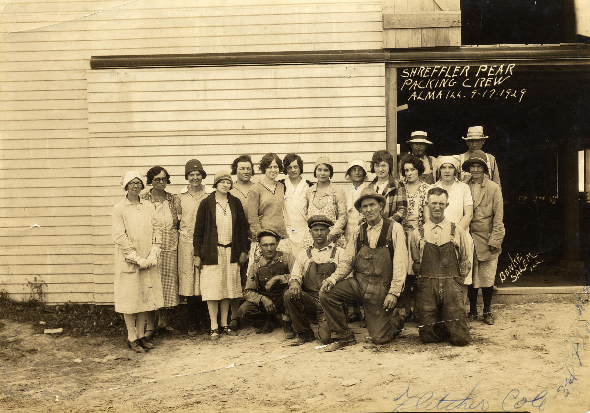 Shreffler Pear Packing Crew - Alma, IL - Sept. 17, 1929