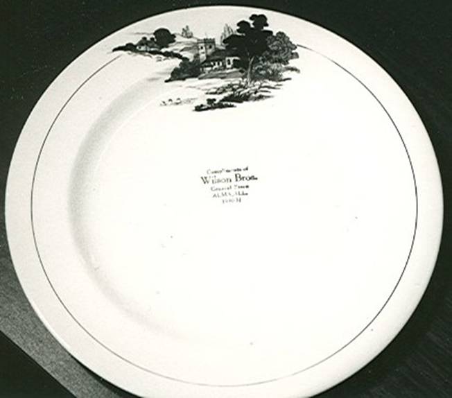 Alma Illinois Wilson Bros. General Store plate