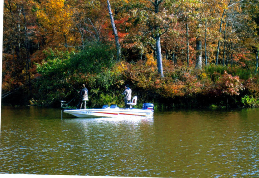 Forbes State Park - Kinmundy