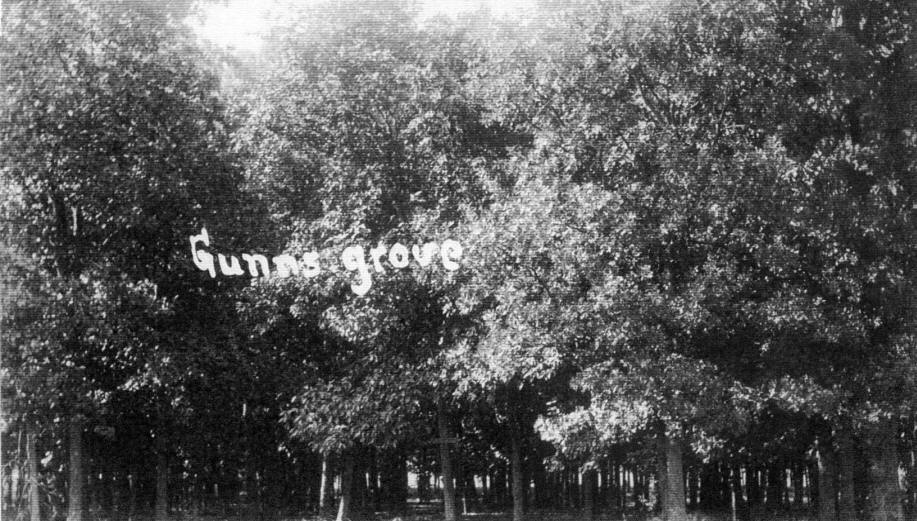 Gunns Grove - Kinmundy