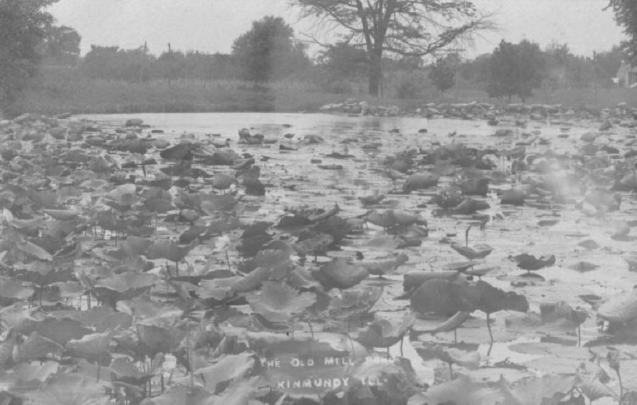 Old Mill Pond - Kinmundy